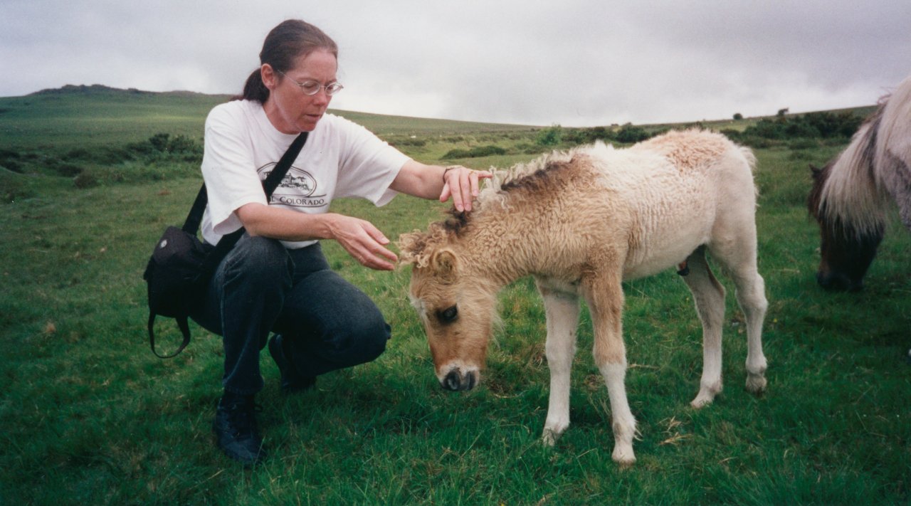 AandM on Dartmoor 2000